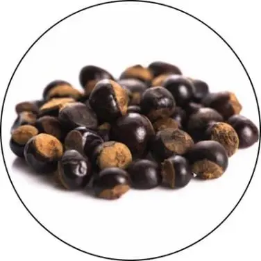 Guarana Seed Extract